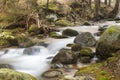 Fast mountain river in forest. Ziarska valley. Western Tatras. Slovakia